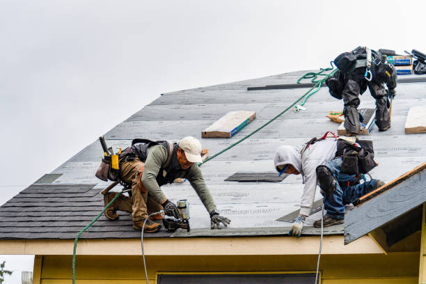 Professional Roofing technician working in Hamilton, IL